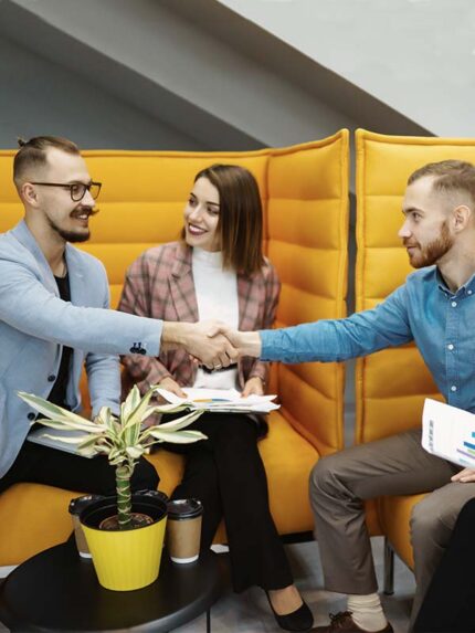 proyecto-imagen-eficaz-distintiva